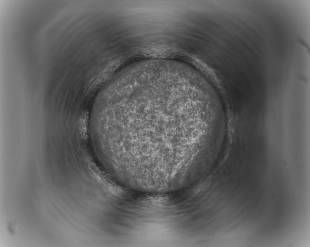 X0000100780065200807101826