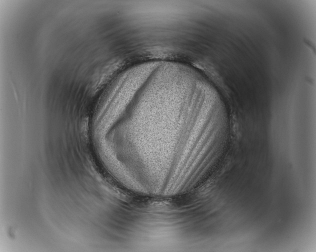 X0000100780066200807101826
