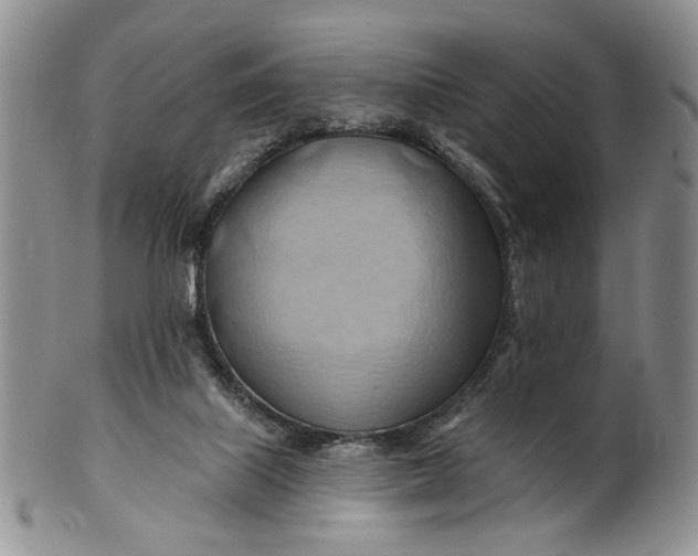 X0000100780067200807101826