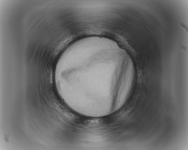 X0000100780068200807101826