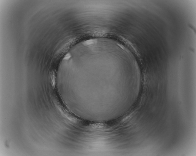 X0000100780069200807101826