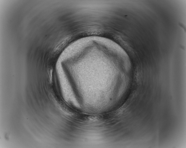 X0000100780070200807101826