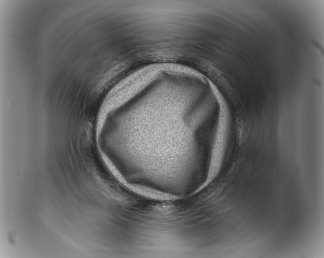 X0000100780071200807101826