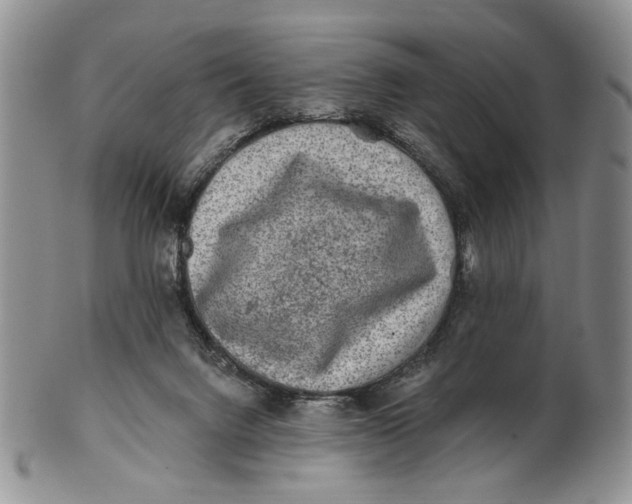 X0000100780072200807101826