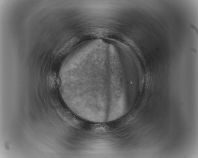 X0000100780073200807101826