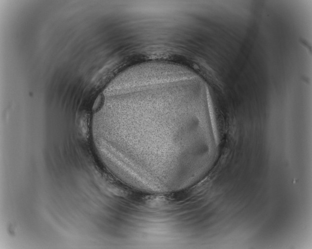 X0000100780074200807101826