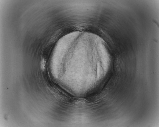 X0000100780075200807101826