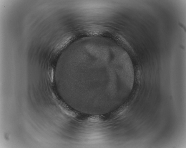 X0000100780076200807101826