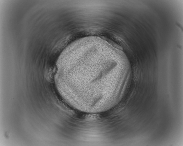 X0000100780077200807101826