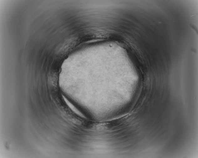 X0000100780078200807101826