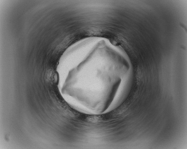 X0000100780079200807101826