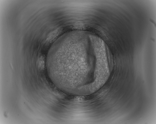 X0000100780080200807101826