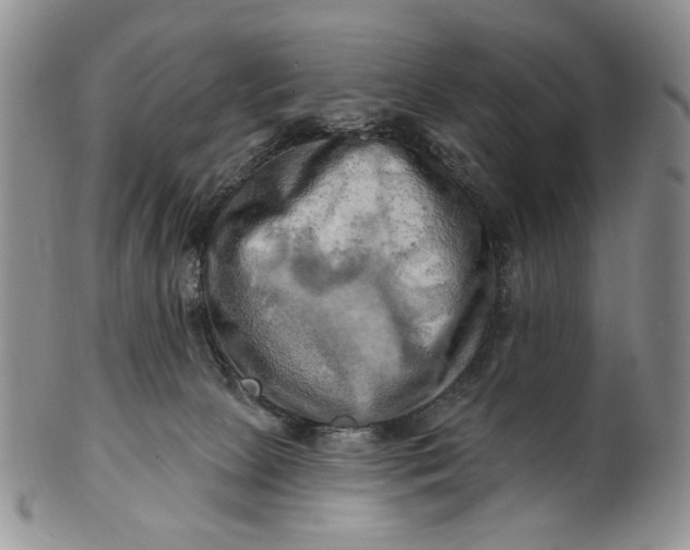 X0000100780081200807101826
