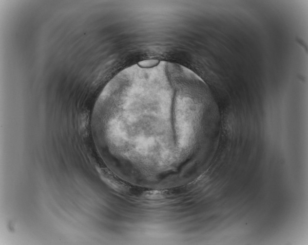 X0000100780082200807101826