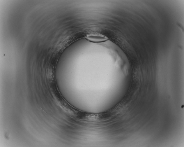 X0000100780084200807101826