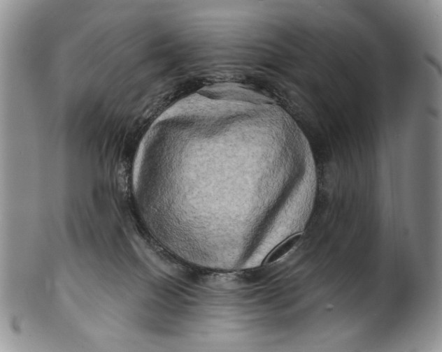 X0000100780086200807101826