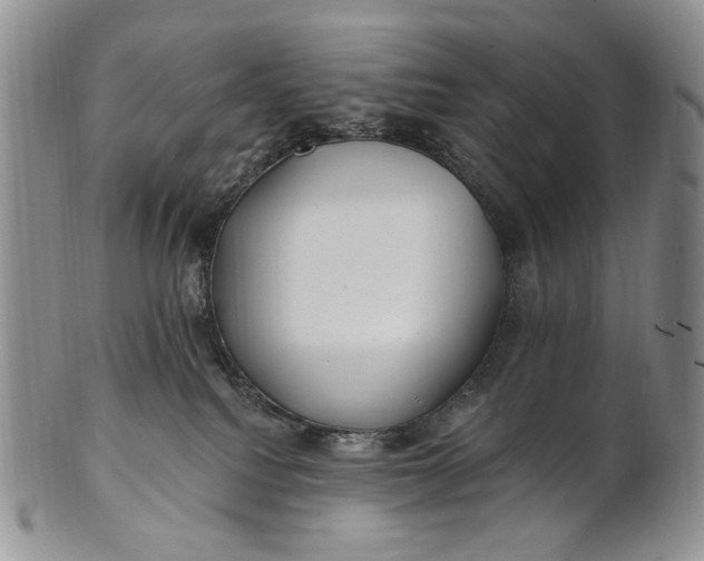 X0000100780088200807101826