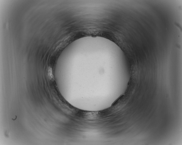 X0000100780089200807101826