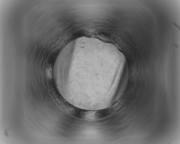 X0000100780090200807101826