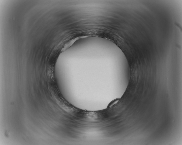 X0000100780091200807101826