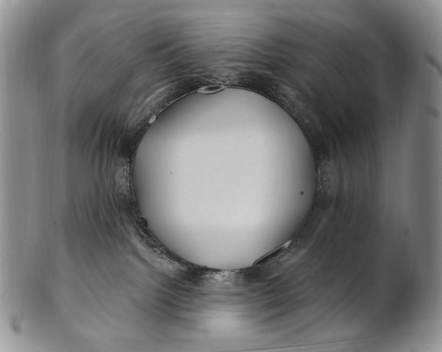X0000100780092200807101826