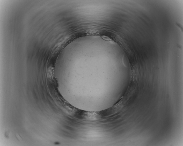 X0000100780093200807101826