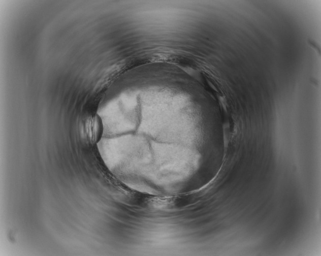 X0000100780094200807101826