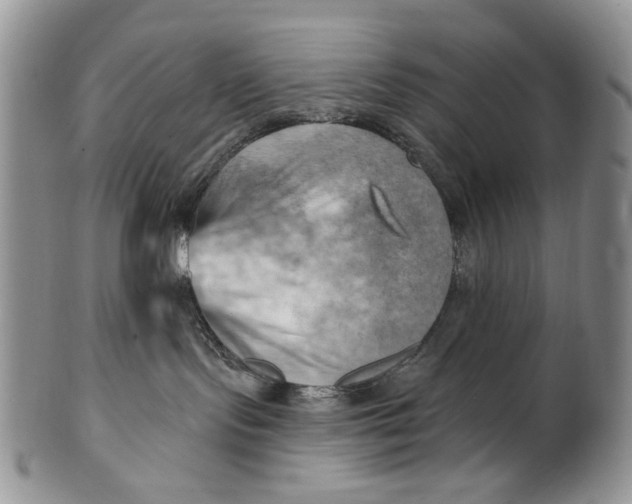 X0000100780095200807101826
