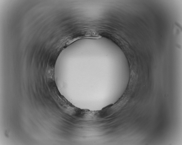 X0000100780096200807101826