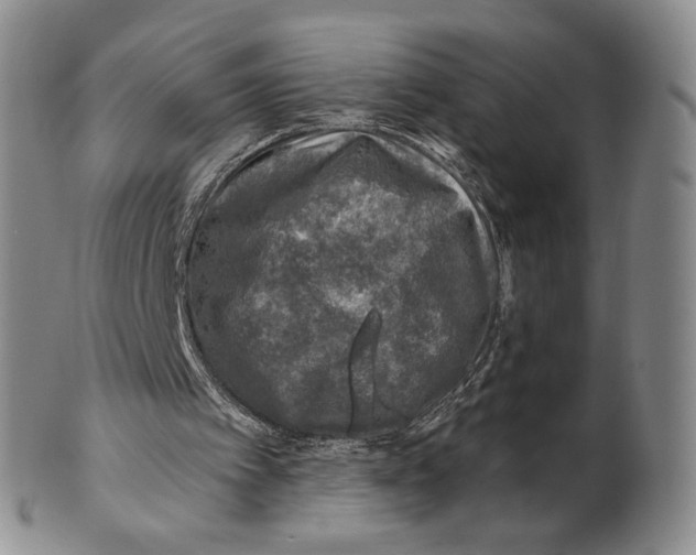 X0000100780097200807101826