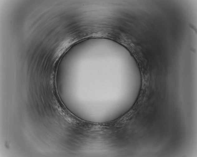 X0000100780098200807101826