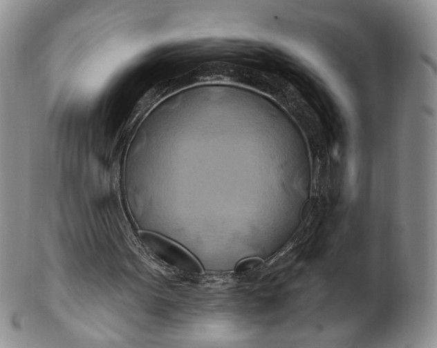 X0000100780099200807101826