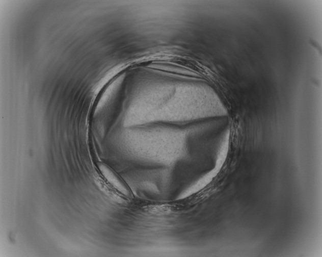 X0000100780100200807101826