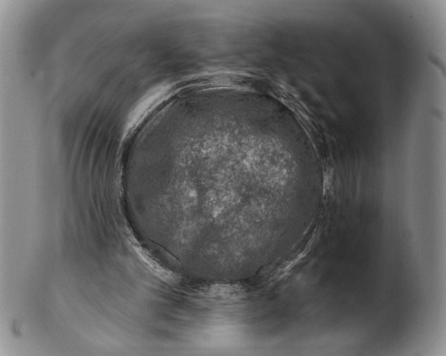X0000100780101200807101826