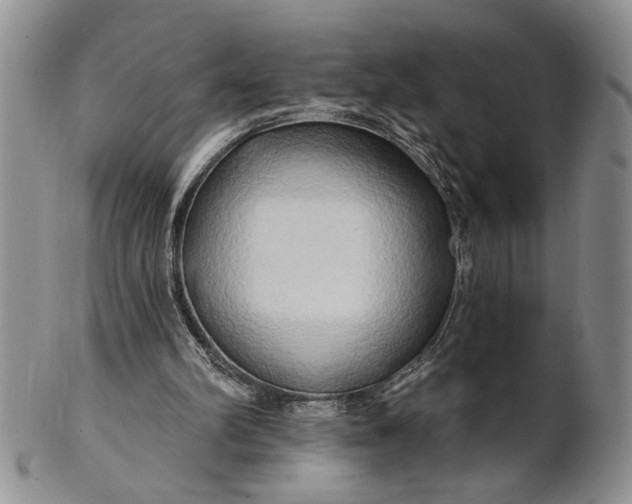 X0000100780102200807101826