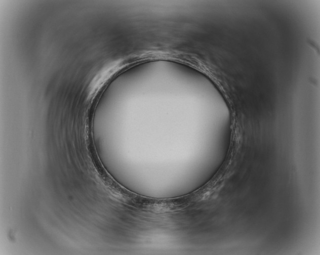X0000100780103200807101826