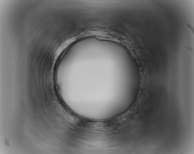 X0000100780104200807101826