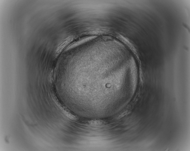 X0000100780105200807101826
