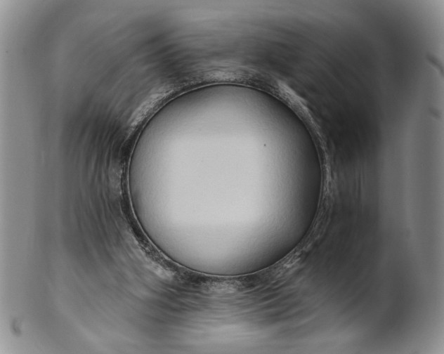 X0000100780106200807101826