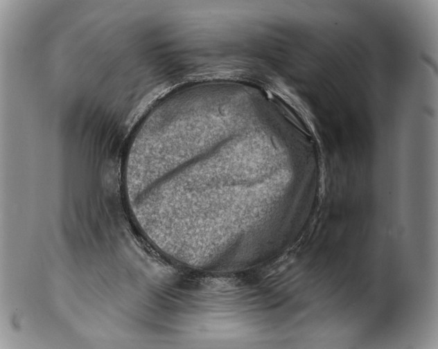 X0000100780107200807101826