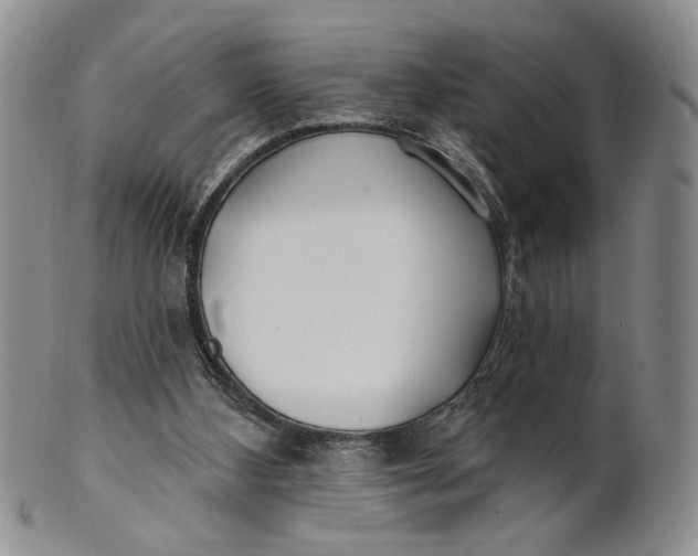 X0000100780108200807101826