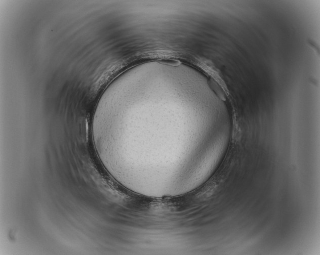 X0000100780109200807101826