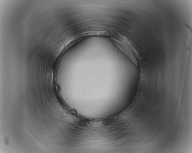 X0000100780110200807101826