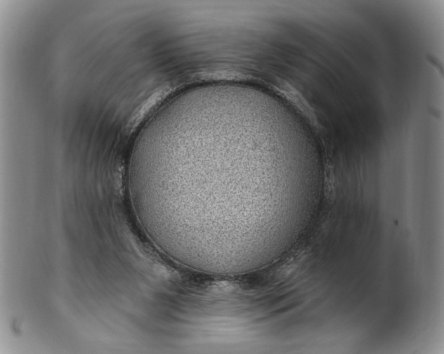 X0000100780111200807101826