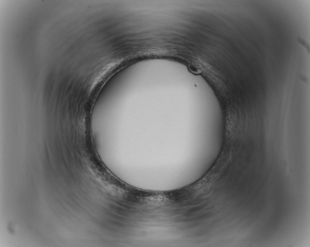 X0000100780112200807101826