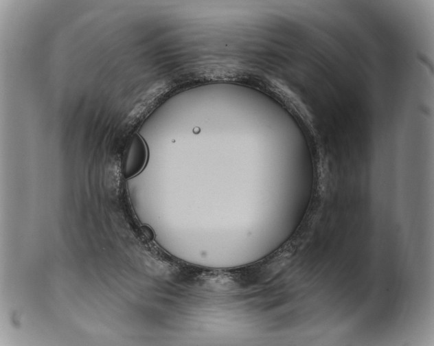 X0000100780113200807101825
