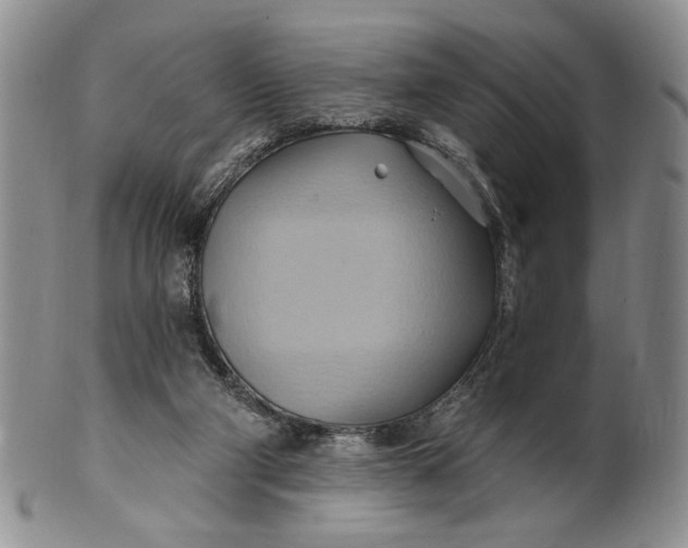 X0000100780114200807101825