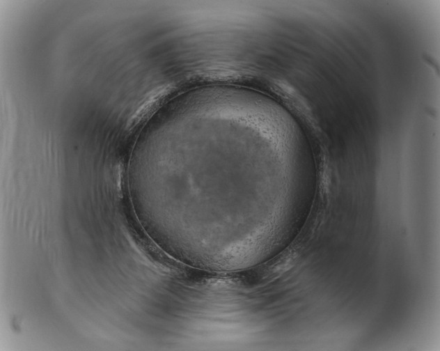 X0000100780115200807101825