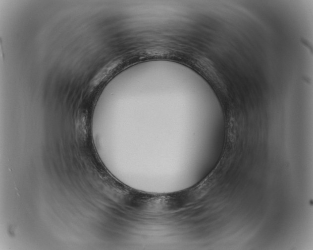 X0000100780116200807101825