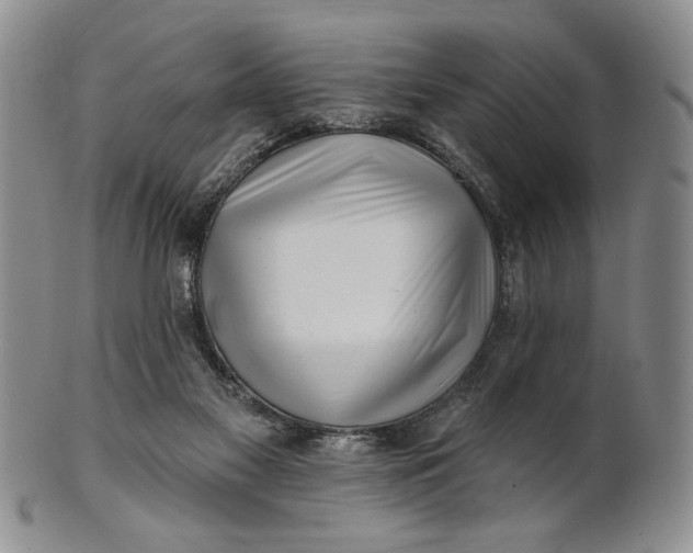 X0000100780117200807101825